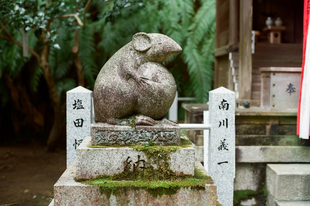 大豐神社 Kyoto / Kodak ColorPlus / Nikon FM2 2015/09/27 三月份的時候有來過一次京都，但是那時候時間很趕，沒有來大豐神社，這裡有兩隻很可愛的老鼠。這次自己在京都待很久，就還是記得要過來這裡拜訪一下。  記得那時候我還是很誠心的許下一樣的願望，後來坐在神社前面的階梯休息一下，這裡很安靜、很舒服。  外面就是銜接哲學之道。  Nikon FM2 Nikon AI Nikkor 50mm f/1.4S Kodak ColorPlus ISO200 0986-0010 Photo by Toomore