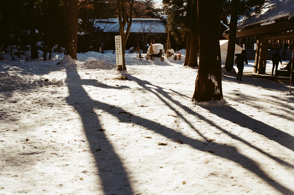 北海道神宮 Japan / Kodak ColorPlus / Nikon FM2 北海道神宮，一直走著，一直聽著踏雪的聲音，兩旁的樹林陰影就這樣落在雪地上。  太過新鮮的畫面，所以一直拍個不停。  Nikon FM2 Nikon AI AF Nikkor 35mm F/2D Kodak ColorPlus ISO200 8265-0006 2016/02/01 Photo by Toomore