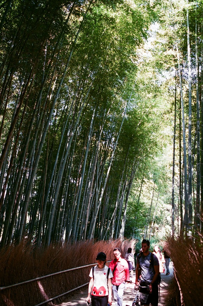 嵐山 竹林 京都 Arashiyama Kyoto, Japan / AGFA VISTAPlus / Nikon FM2 2015/09/28 後來我走進來竹林，周圍很多人，想要等一個沒有太多人的場景要等很久，那時候應該要早一點來的，雖然買了鏡頭之後就快快的坐車來這邊。  我記得那天天氣很好，陽光有點強，這裡我拍的很沒把握，因為光線的反差太大了，我抓不出個感覺來。  那時候我坐在地上等了好像 30 多分鐘，想等一個我理想的淨空的畫面。  沒想到我竟然等到認識的人！那時候一直在日本其實朋友都不意外，意外的是竟然還真的能遇到我，然後回台灣竟然成為在日本能遇到我的話題。  其實那時候我真的好感激能遇到你們，我才能短暫的跳出我的框框外。  Nikon FM2 Nikon AI AF Nikkor 35mm F/2D AGFA VISTAPlus ISO400 0990-0005 Photo by Toomore