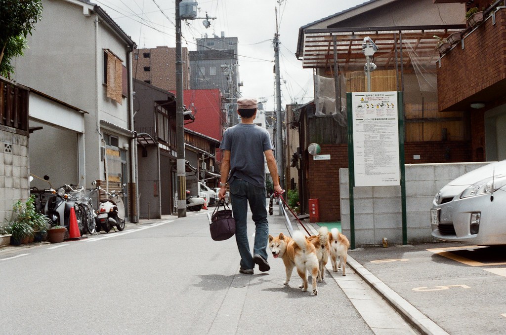 寺町通 京都 Kyoto / Kodak ColorPlus / Nikon FM2 2015/09/27 在寺町通看到一次牽三隻柴犬，我想到前同事很愛柴犬，所以在後面跟拍，拍到其中一張，一隻轉過來看我！  Nikon FM2 Nikon AI Nikkor 50mm f/1.4S Kodak ColorPlus ISO200 0985-0038 Photo by Toomore