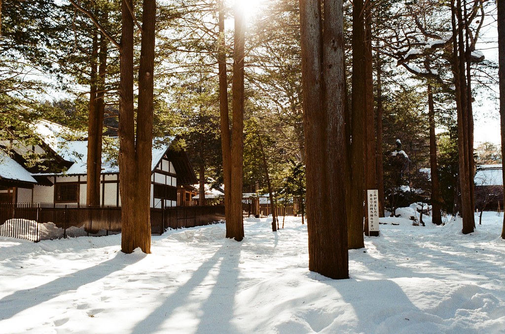 北海道神宮 Japan / Kodak ColorPlus / Nikon FM2 北海道神宮，一直走著，一直聽著踏雪的聲音，兩旁的樹林陰影就這樣落在雪地上。  太過新鮮的畫面，所以一直拍個不停。  Nikon FM2 Nikon AI AF Nikkor 35mm F/2D Kodak ColorPlus ISO200 8265-0004 2016/02/01 Photo by Toomore