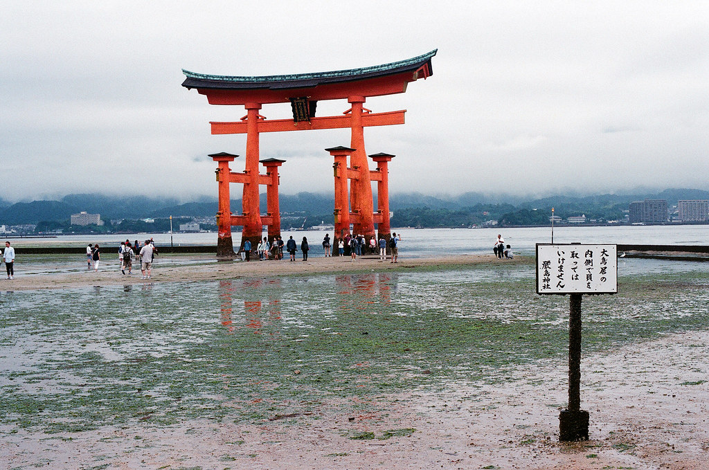 大鳥居 嚴島（Itsuku-shima）広島 Hiroshima 2015/08/31 差不多要走回岸上，與告示排一起的大鳥居。  Nikon FM2 / 50mm FUJI X-TRA ISO400 Photo by Toomore