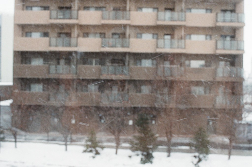 學園前 札幌 Sapporo, Japan / Kodak ColorPlus / Nikon FM2 把相機對焦調近一點，想要把雪花拍入鏡，但 ... 似乎有點困難。  非常的困難！  Nikon FM2 Nikon AI AF Nikkor 35mm F/2D Kodak ColorPlus ISO200 8268-0021 2016/02/02 Photo by Toomore