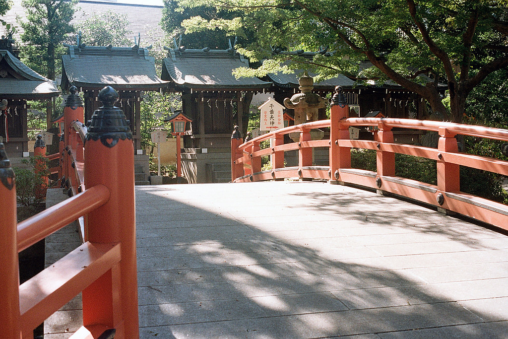 千葉神社 Chiba Shrine 2015/08/05 千葉神社一景。  Nikon FM2 / 50mm Kodak ColorPlus ISO200  <a href="http://blog.toomore.net/2015/08/blog-post.html" rel="noreferrer nofollow">blog.toomore.net/2015/08/blog-post.html</a> Photo by Toomore