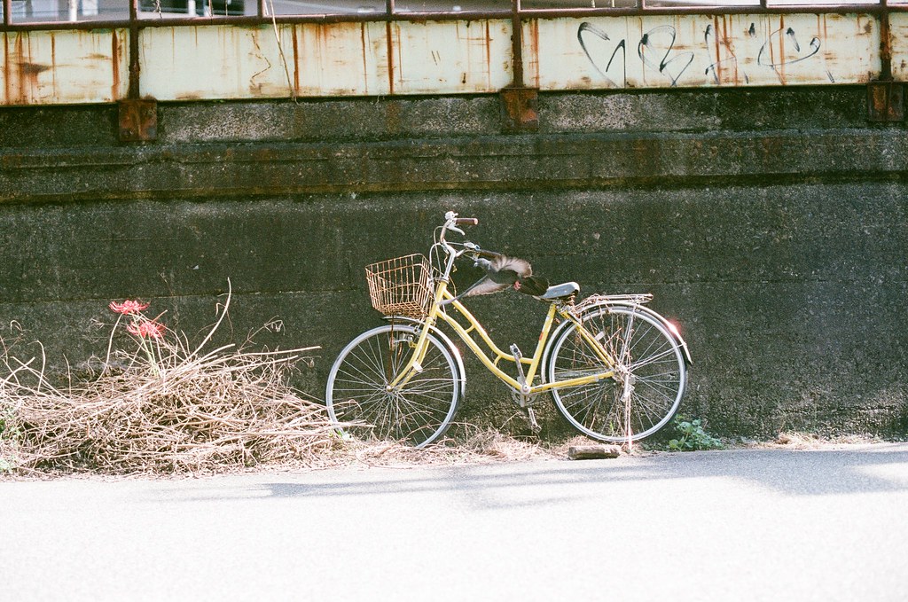 鴿子 腳踏車 大阪 Osaka 2015/09/22 這次我就有拍到剛飛起來的鴿子。  Nikon FM2 Nikon AI Nikkor 50mm f/1.4S AGFA VISTAPlus ISO400 0945-0032 Photo by Toomore