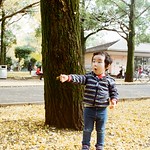 光が丘公園 Tokyo, Japan / Kodak ColorPlus / Nikon FM2 Photo by Toomore