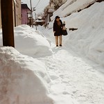 小樽 Otaru, Japan / Kodak ColorPlus / Nikon FM2 Photo by Toomore
