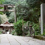 大豐神社 Kyoto / Kodak ColorPlus / Nikon FM2 Photo by Toomore
