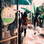 沖繩 / Turquoise / Lomo LC-A+ Photo by Toomore