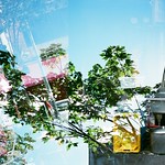 Double Exposure, Taipei, Taiwan / AGFA VISTAPlus / Lomo LC-A+ Photo by Toomore