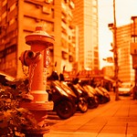 Taipei Street / Lomography Redscale / Minolta AUTOCORD Photo by Toomore