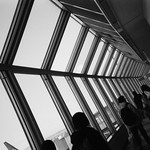 新千歲機場 Sapporo, Japan / Kodak TRI-X / Lomo LC-A+ Photo by Toomore